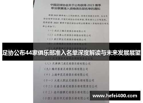 足协公布44家俱乐部准入名单深度解读与未来发展展望 足协公布44家俱乐部准入名单深度解读与未来发展展望