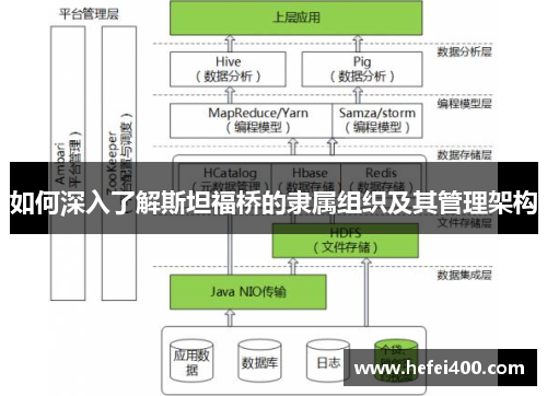 如何深入了解斯坦福桥的隶属组织及其管理架构